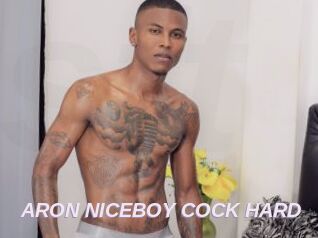 ARON_NICEBOY_COCK_HARD