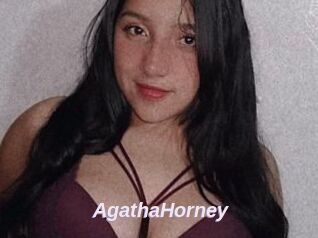 AgathaHorney