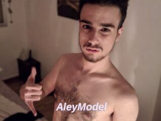 AleyModel