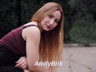 AmilyBrik