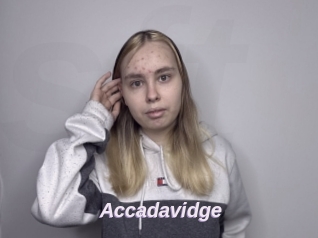 Accadavidge