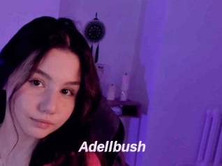 Adellbush