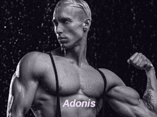 Adonis