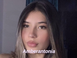 Amberantonia