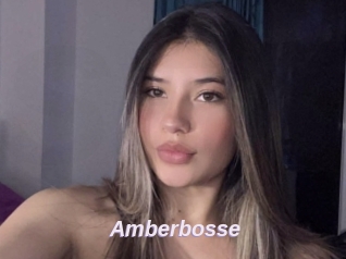 Amberbosse