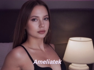 Ameliatek