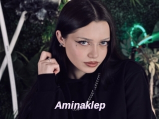 Aminaklep