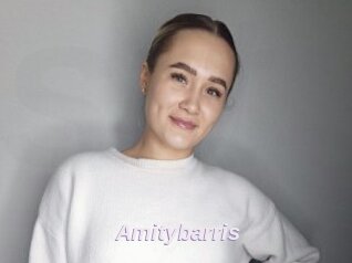 Amitybarris