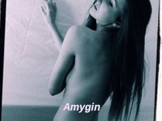 Amygin