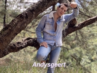 Andysgeert