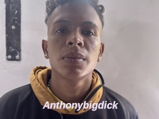 Anthonybigdick