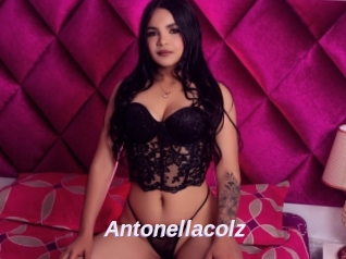 Antonellacolz