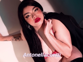 Antonellacontti