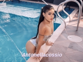 Antonellacossio