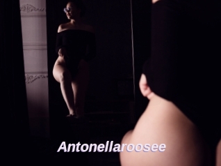 Antonellaroosee