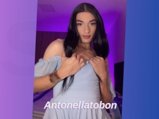 Antonellatobon