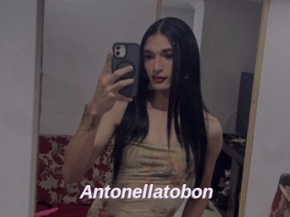 Antonellatobon