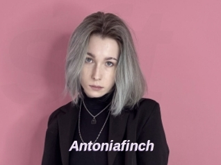 Antoniafinch