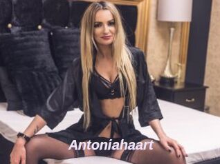 Antoniahaart