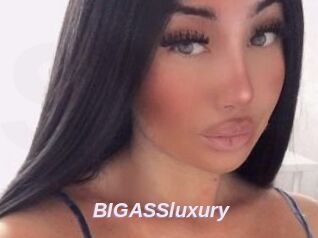 BIGASSluxury