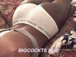 BIGCOCKTS_HOT