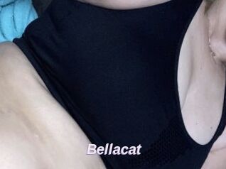 Bella_cat