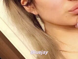 Blue_jay