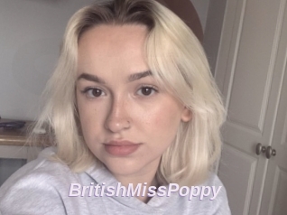 BritishMissPoppy