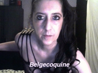 Belgecoquine