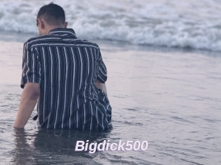 Bigdick500