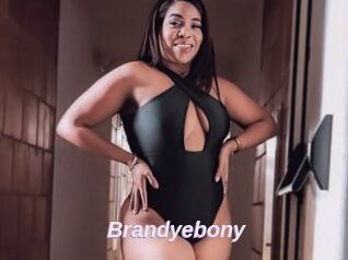 Brandyebony