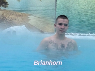 Brianhorn