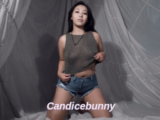 Candicebunny