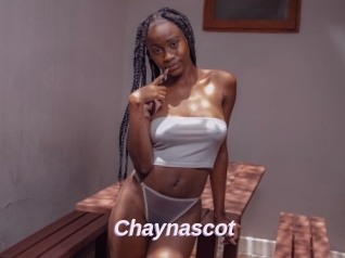 Chaynascot