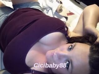 Cicibaby88