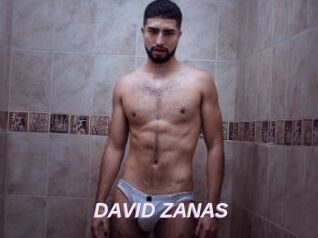 DAVID_ZANAS