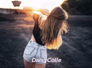 DaisyColle