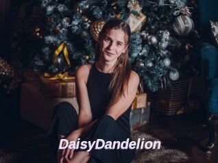 DaisyDandelion