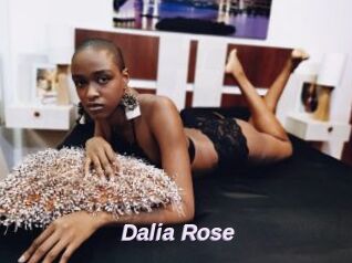 Dalia_Rose