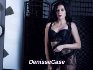 DenisseCase