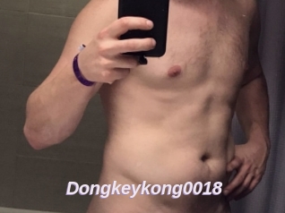 Dongkeykong0018