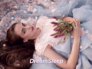 DreamSleep