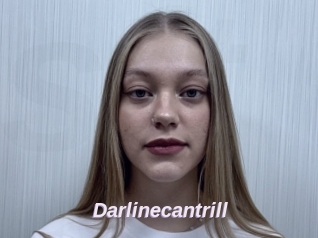 Darlinecantrill