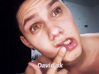 David_sk