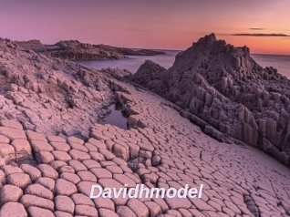 Davidhmodel