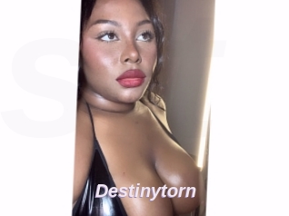 Destinytorn