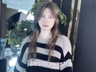 Destinywesti