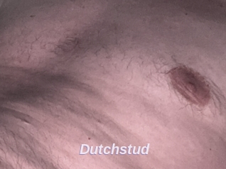 Dutchstud