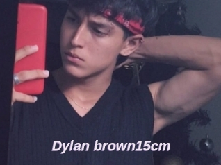 Dylan_brown15cm