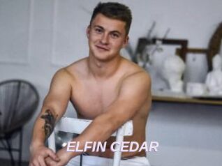 ELFIN_CEDAR